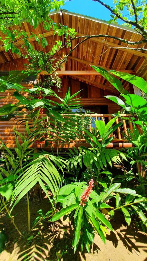 Arenal Rustic Lodge Alajuela Exterior foto